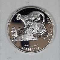 Канада 50 центов 1996 Детёныши диких животных - Котята пумы