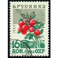 Марки СССР 1964. Ягоды. Марка из серии 3136