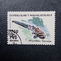 Мадагаскар 1993. Рыбы. Stegostoma tigrinum