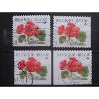 Бельгия 1999 Стандарт, цветы, разновидности по расположению в буклете