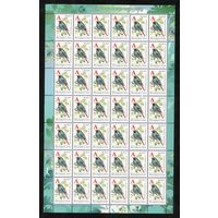 Девятый стандартный выпуск "Птицы сада" Беларусь 2006 год (657) 1 марка в листе (простая бумага)
