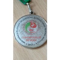 Серебряный призёр чемпионата РБ 2017 года по пляжному футболу среди женщин