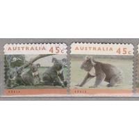Коалы животные  Фауна Австралии 1994 год  лот 11  волнистая перфорация - рулонная