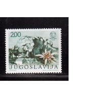 Югославия-1974(Мих.1568) ** , Цветы, Эдельвейс(одиночка)