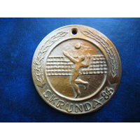 Медаль Волейбол Скрунда - 86. Латвия времён СССР. Керамика.