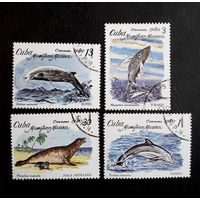 Куба 1980 г. Морская фауна. полная серия из 4 марок #0054-Ф1