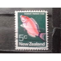 Новая Зеландия 1974 Рыба без В/З