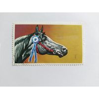 ОАЭ  1972 лошадь