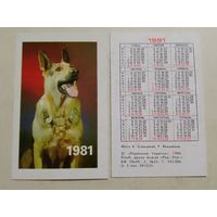 Карманный календарик. Собака. Овчарка. 1981 год