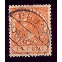 1 марка 1929 год Нидерланды 223а