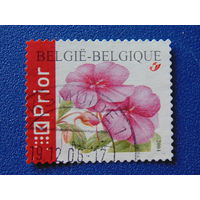 Бельгия 2004 г. Цветы.