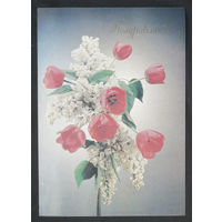 Киндрова Д. Поздравляю ! Флора. Цветы. 1989 год #0129-FL1P65