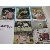 Набор из 17  больших (13х18см) открыток Пражского зоопарка "Navsteva v zoo"