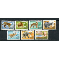 Венгрия - 1981 - Африканская фауна. Кальман Киттенбергер - [Mi. 3470-3476] - полная серия - 7 марок. MNH.  (Лот 115CW)