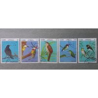 Куба. 1977г. Фауна. Птицы.