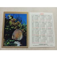 Карманный календарик. Рыба Голубой Дискус .1995 год