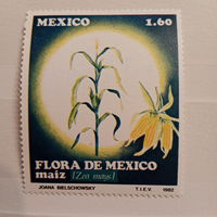 Мексика 1982. Кукуруза