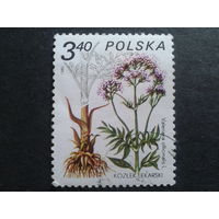Польша 1980 цветы