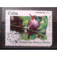 Куба 2014 Птица*