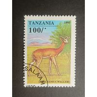 Танзания 1995. Африканские копытные животные