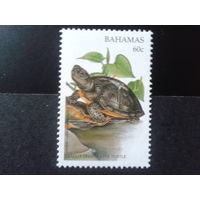 Багамы 1996 Черепаха** Михель-3,0 евро