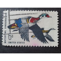 США 1968 утки