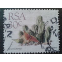 ЮАР 1988 стандарт, камнеломка