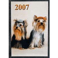 Календарик Собаки 2007
