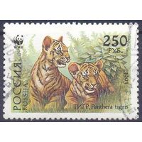 Россия 1993 WWF тигр фауна