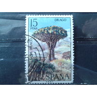 Испания 1973 Флора Канарских островов, концевая