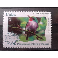 Куба 2014 Птица*