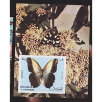 Бабочки Фауна Насекомые ОАЭ Шарджа  1972 лот 2023 блок ЧИСТЫЙ около 30 % от каталога