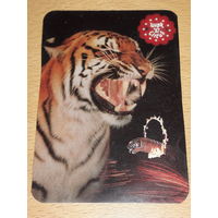 Календарик 1986 Цирк. Фауна. Тигр
