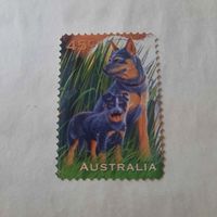 Австралия 1996. Породы собак