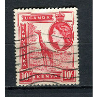 Британские колонии - Кения, Уганда, Таганьика - 1954/1959 - Елизавета II и жираф 10С - [Mi.93] - 1 марка. Гашеная.  (Лот 7DZ)-T5P3