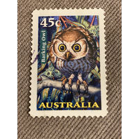 Австралия. Сова. Braking Owl