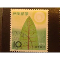 Япония 1965 экология, дерево