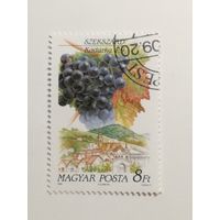Венгрия 1990. Вина и Винодельческие регионы