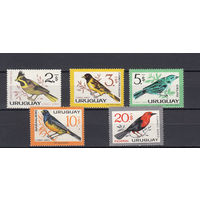 Фауна. Птицы. Уругвай. 1965. 5 марок. Michel N 948-952 (36,0 е).