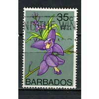 Барбадос - 1974/1979 - Орхидея 35С - [Mi.375X] - 1 марка. Гашеная.  (Лот 91Dh)