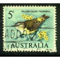 Австралия 1966 Mi# 362 Птицы. Гашеная (AU09) н/с