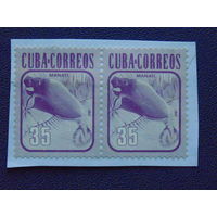 Куба 1981г.  Фауна.