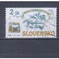 [896] Словакия 1994. Фауна.Лошади на почтовых марках. Одиночный выпуск. Гашеная марка.