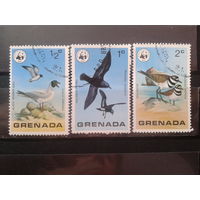 Гренада 1978 Птицы WWF