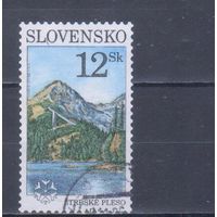 [896] Словакия 1996. Природа.Ландшафт.Горы. Гашеная марка.