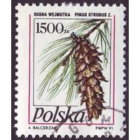 Сосны Польша 1991 год 1 марка