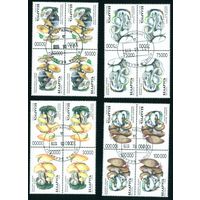 Грибы Беларусь 1999 год (341-344) серия из 4-х марок в квартблоках