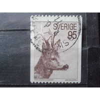 Швеция 1972 Фауна
