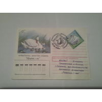 Конверт 1995 сг хмк скидель-2 филвыставка адрес фиолетовые чернила