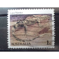 Австралия 1983 Варан